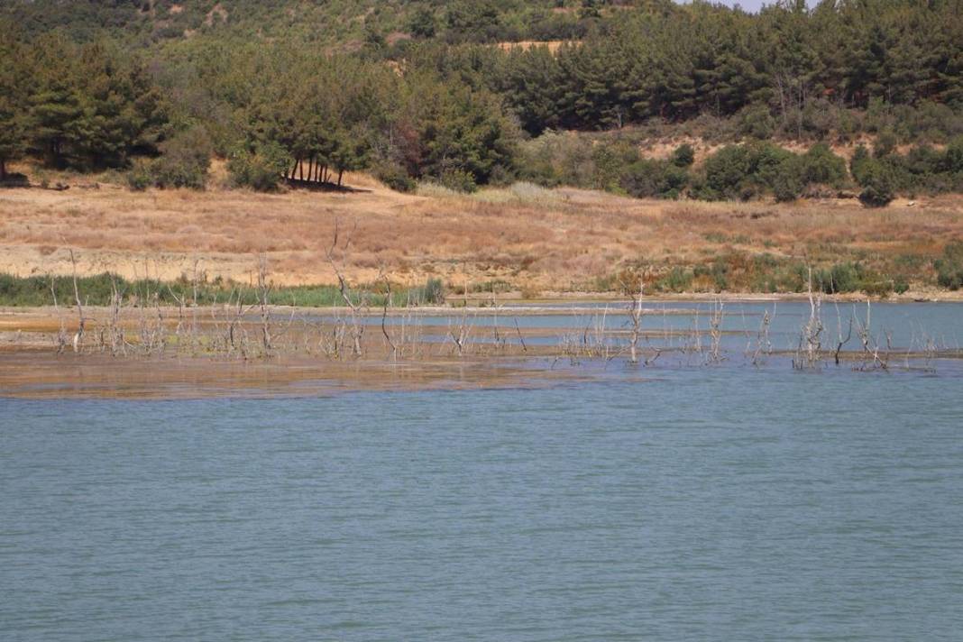 Yerin altı üstüne çıktı! O ilimizde korku büyüyor, aniden gün yüzüne çıkıverdiler 14